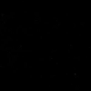 Meet your Posher, Smooches